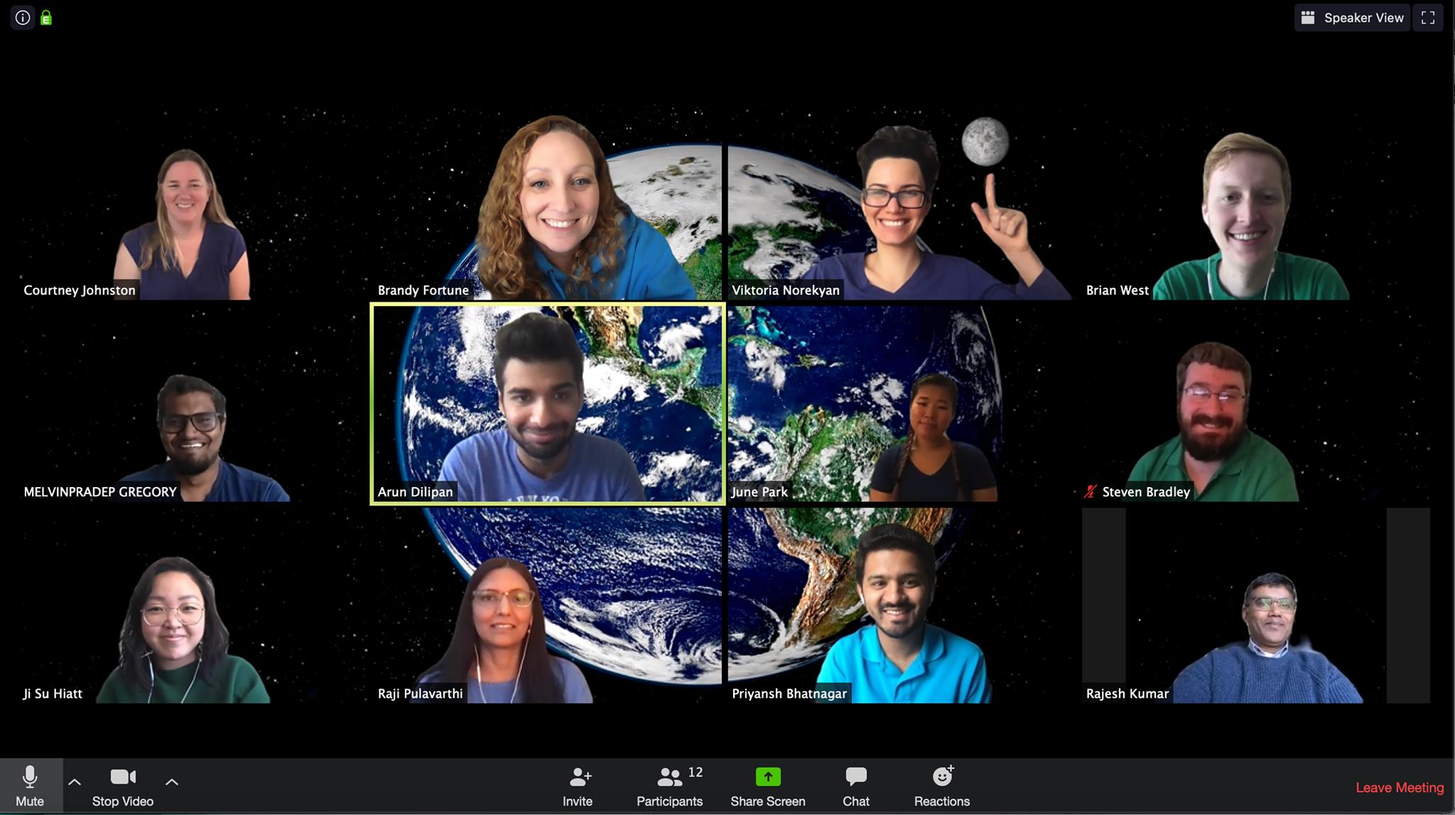 Virtual team meeting
